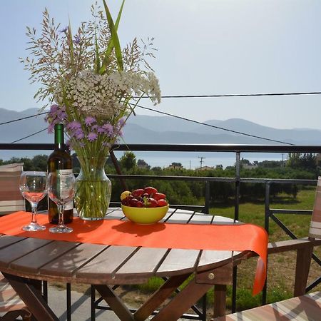 Lotus Sea View Apartments Lixouri Exterior foto