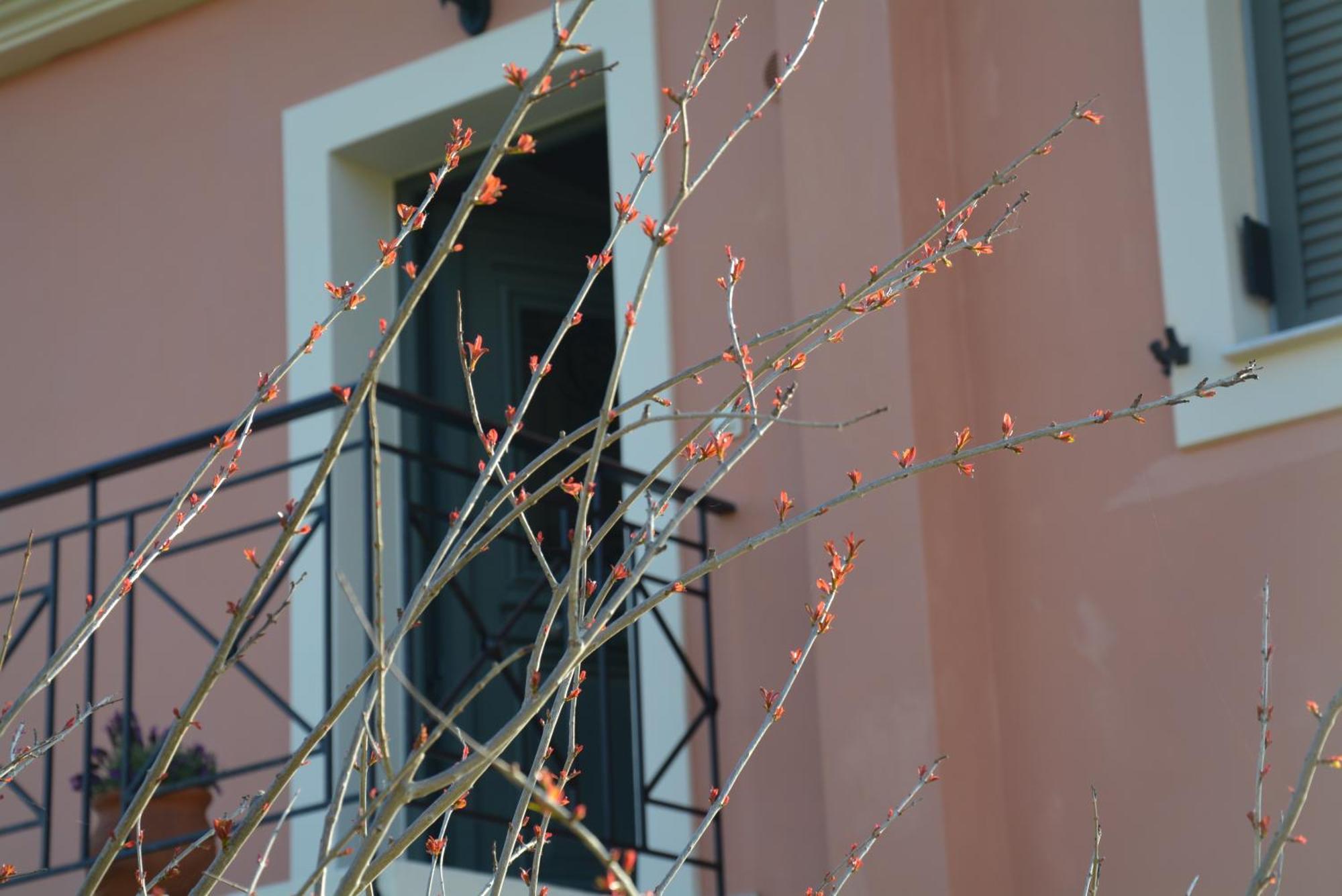 Lotus Sea View Apartments Lixouri Exterior foto